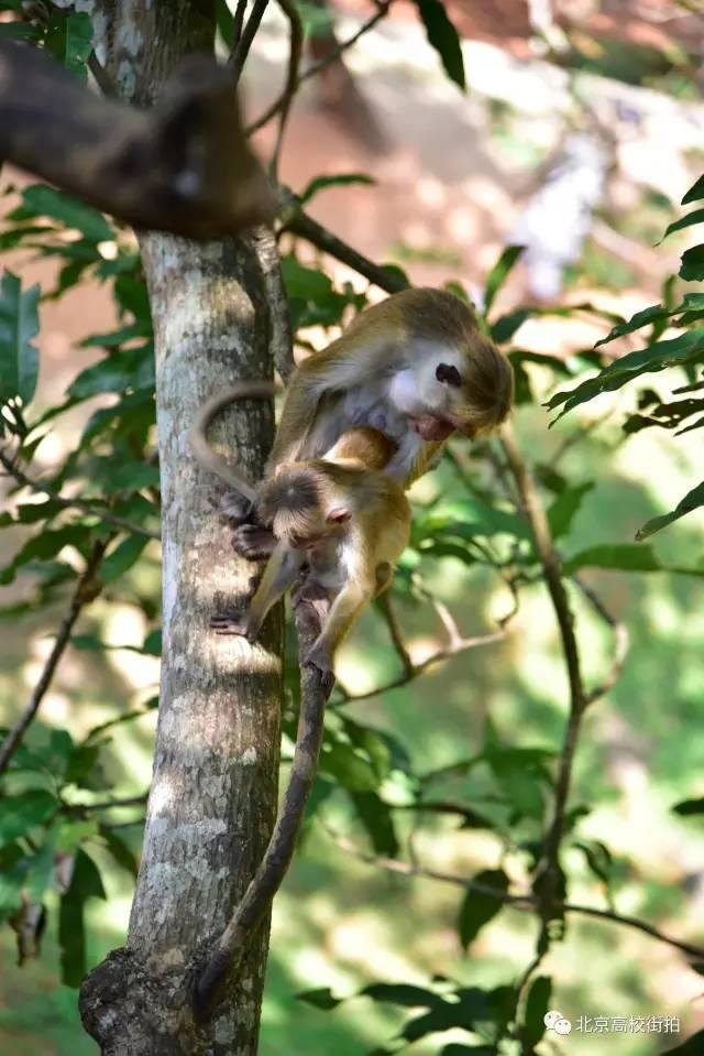 参加LeanIn国际义工旅行之后的收获有什么呢,