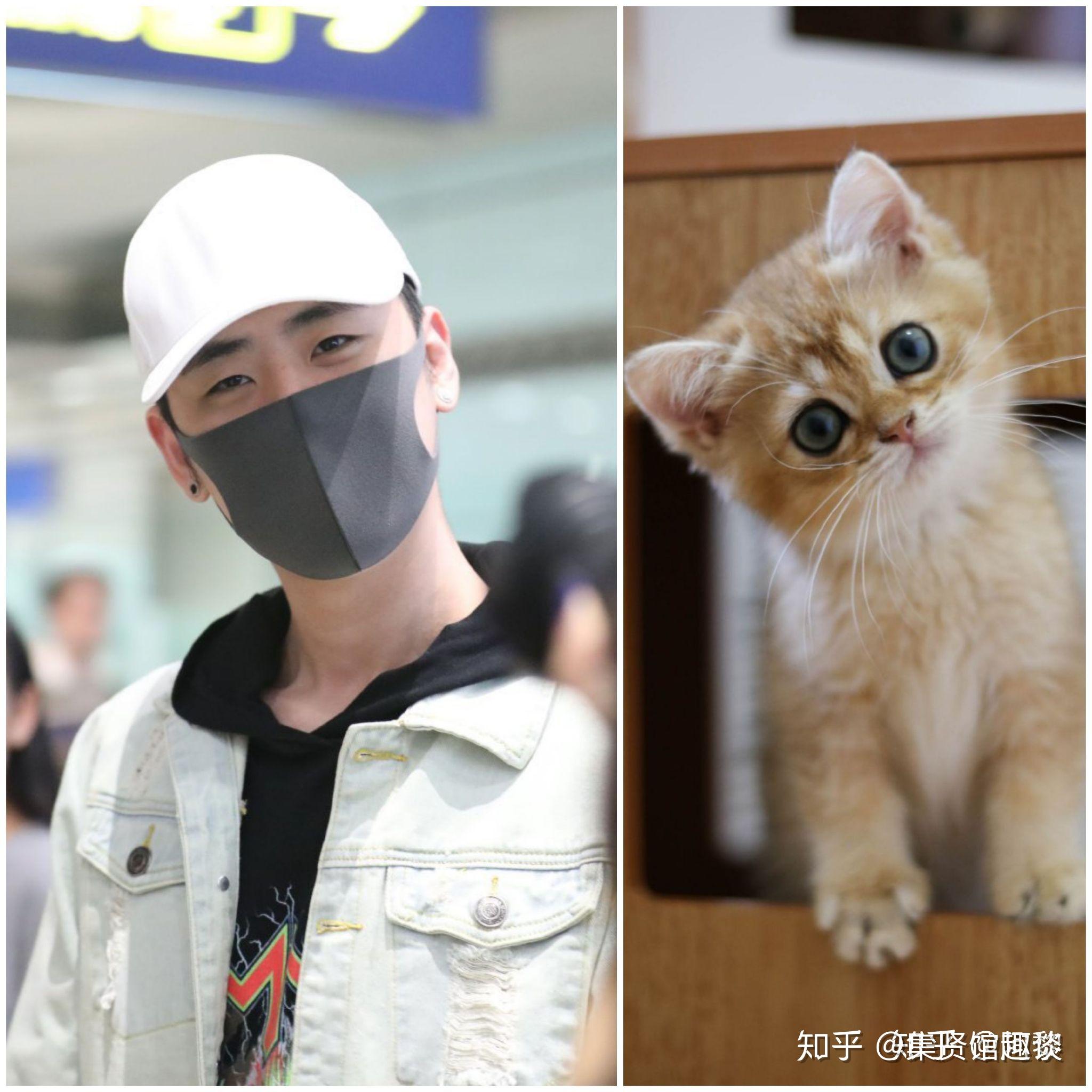 今天大家都在猜,张云雷会以什么装束出行,白帽子,白tshirt,破洞牛仔裤