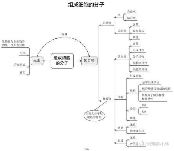 高中生物让理科生直呼记不住 这份思维导图帮你理清思路 知乎