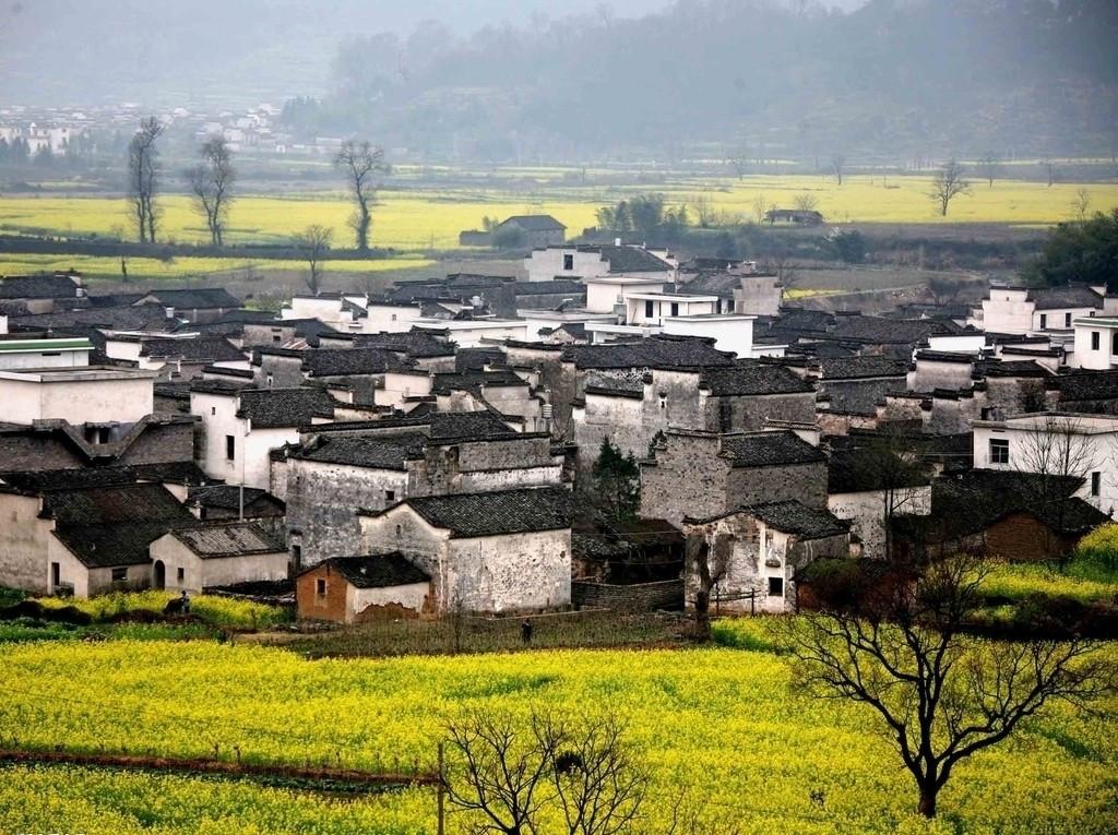 农村人口地_农村地锅灶台图片(2)