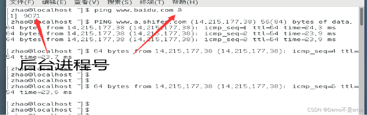 渗透测试——命令执行漏洞（RCE）详解 - 知乎