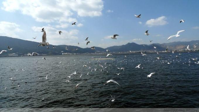 2.海埂公园
