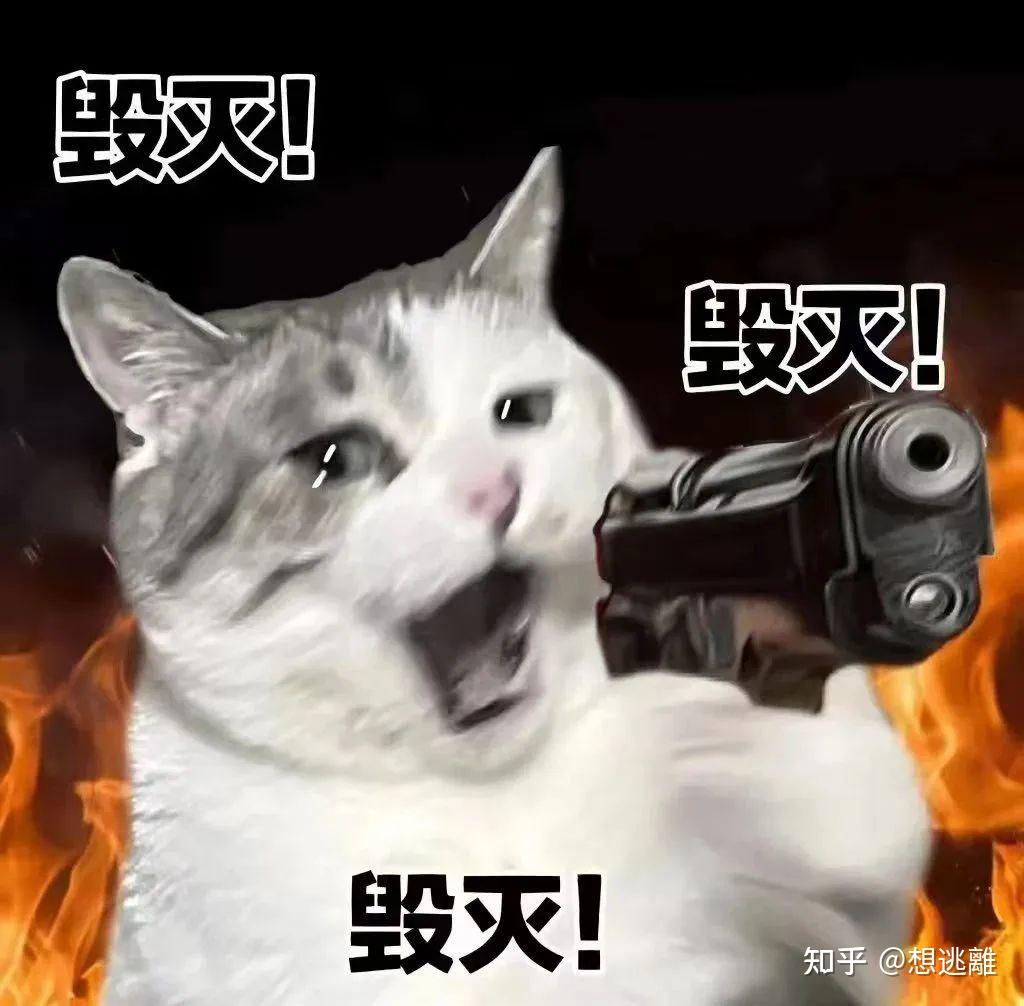 有什么适合发疯的表情包吗？ - 知乎