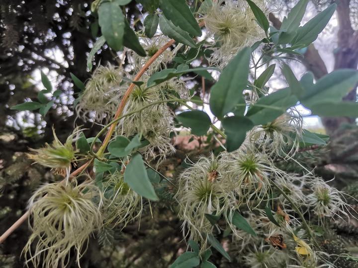 一个草根的日常杂碎 10月5日 知乎