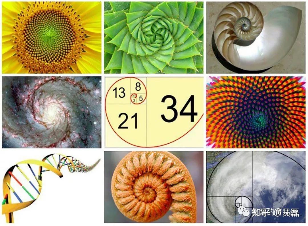 小学毕业生通识课-自然常数e