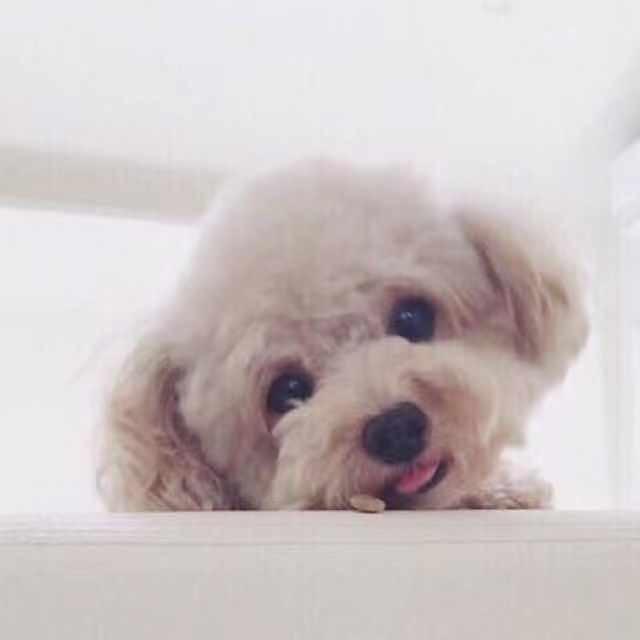 哟哟