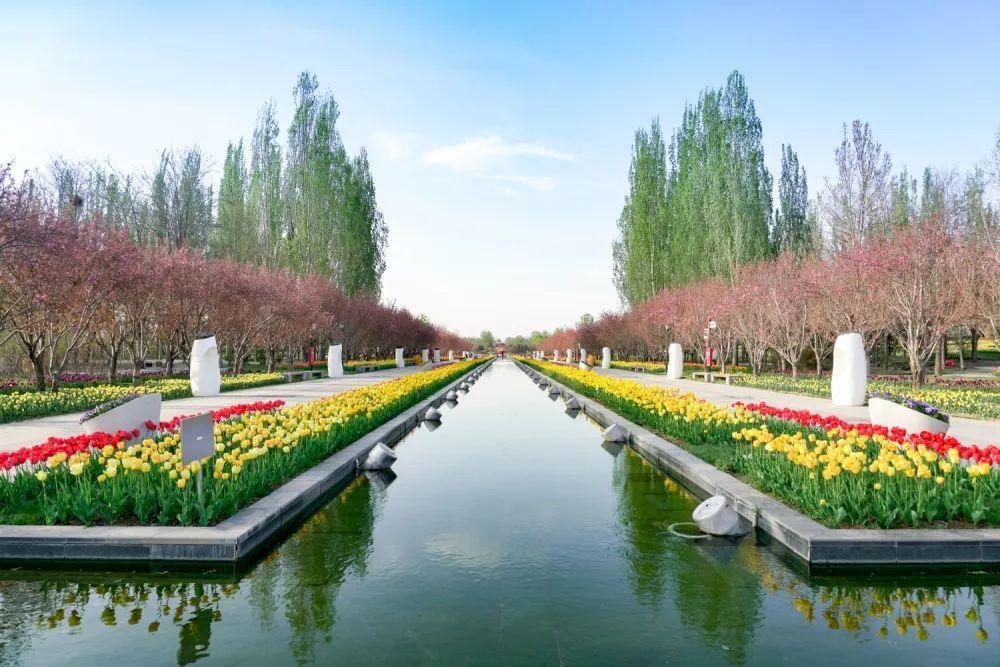 顺义区的秋的金黄(菊花)夏的缤纷(百合花)有春的多彩(郁金香)放眼望去