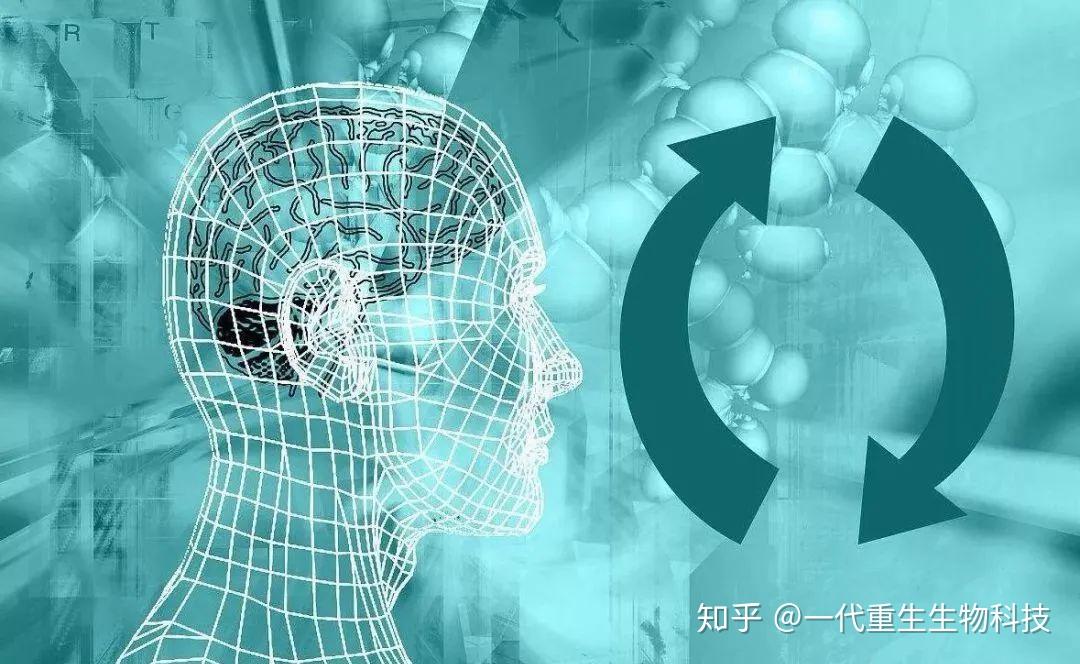 换言之,主流医学研究的是物质性,量子医学研究的是非物质性——波动