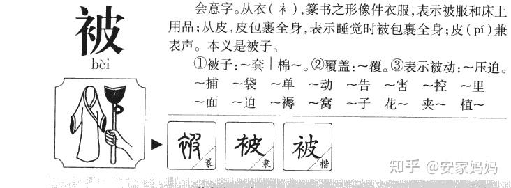 先看皮作为部首组成的字,大多都和人的皮肤相关:皱部首为 皮,刍( chú