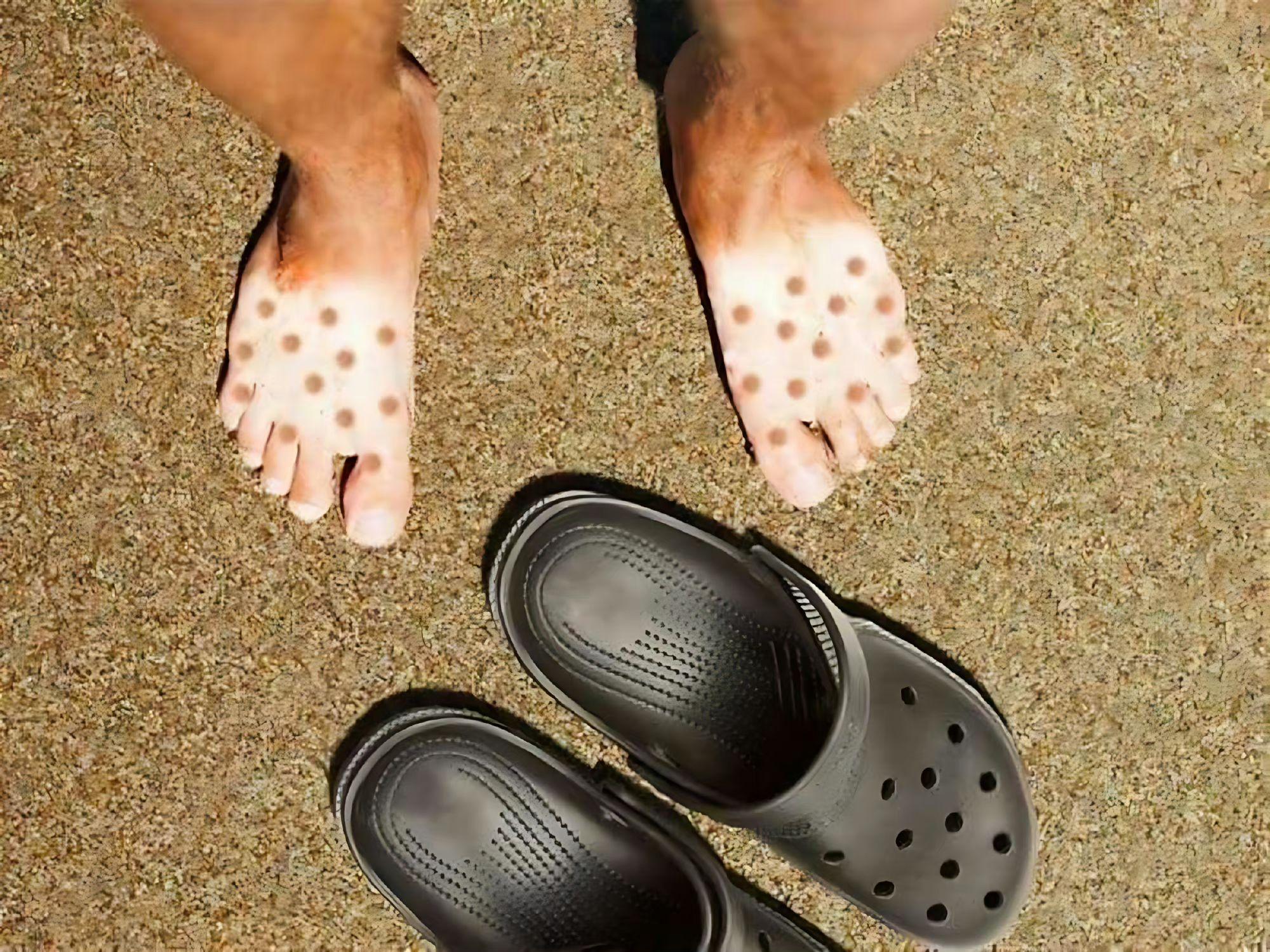 你有哪些能让人笑到肚子疼的搞笑图片? - 知乎