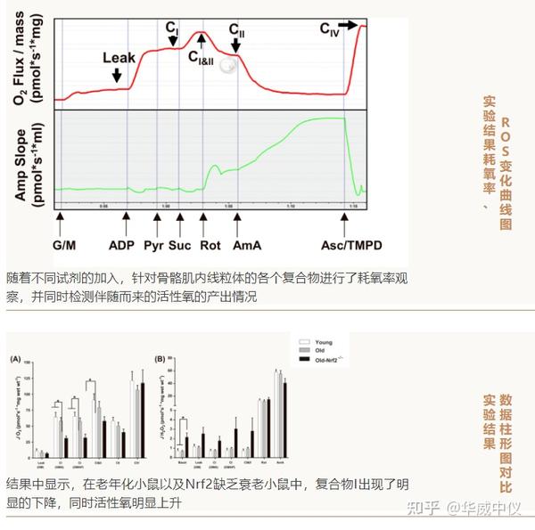 Oroboros O2k Graph 2022年OROBOROS O2k能量代谢相关文章锦集 - 知乎