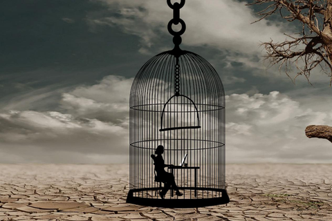 怎样避免活在信息茧房之中？