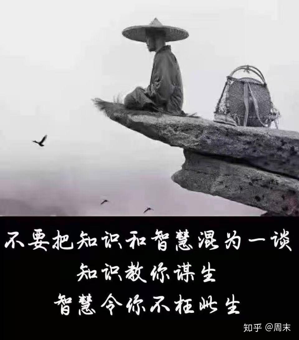 蝇子透窗偈
