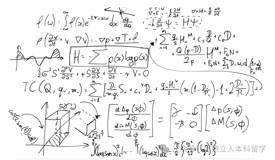 美国本科留学选专业—— 数学 美国本科留学选专业—— 数学