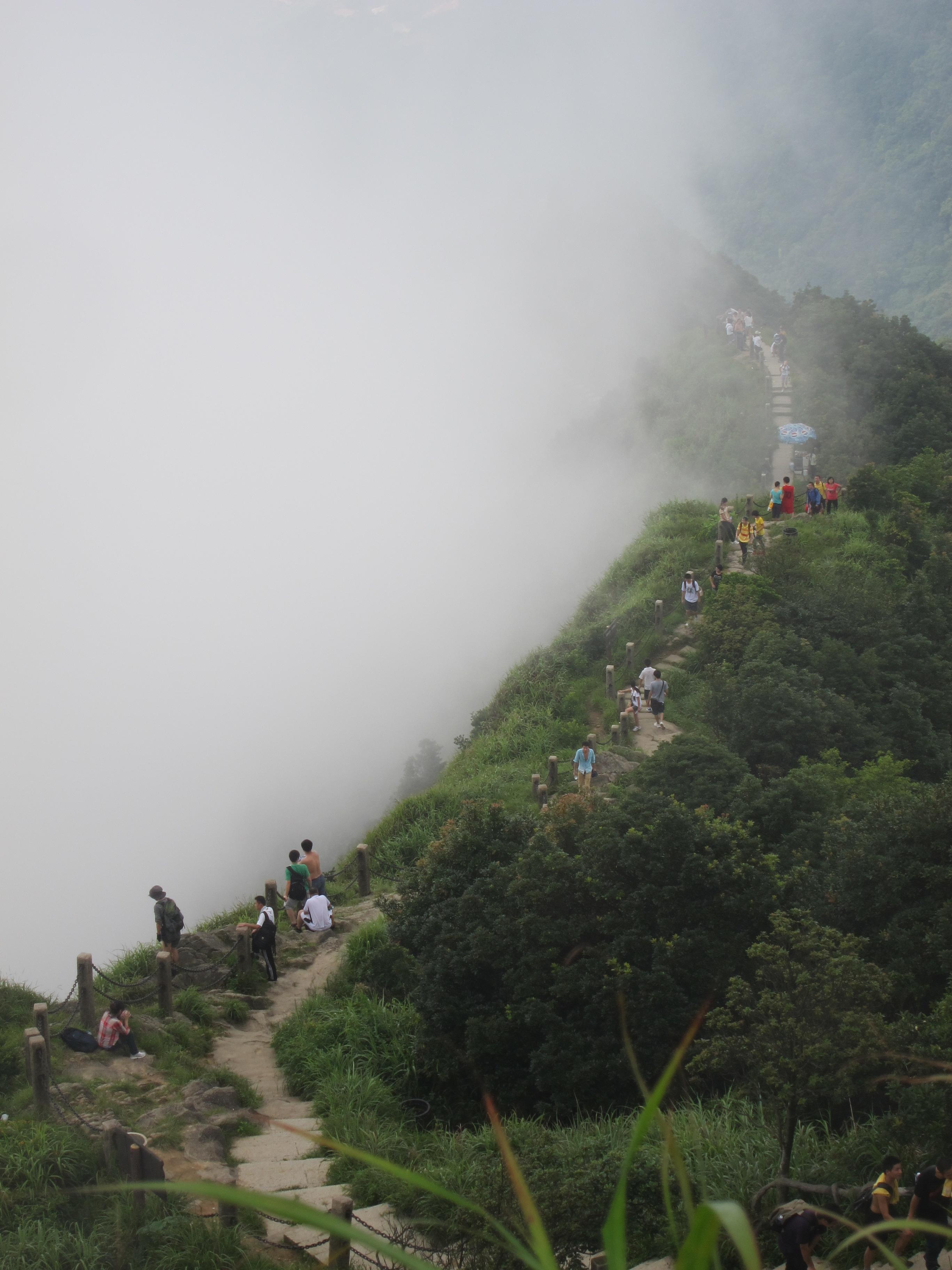梧桐山国家森林公园的自然风景怎么样? - 知乎