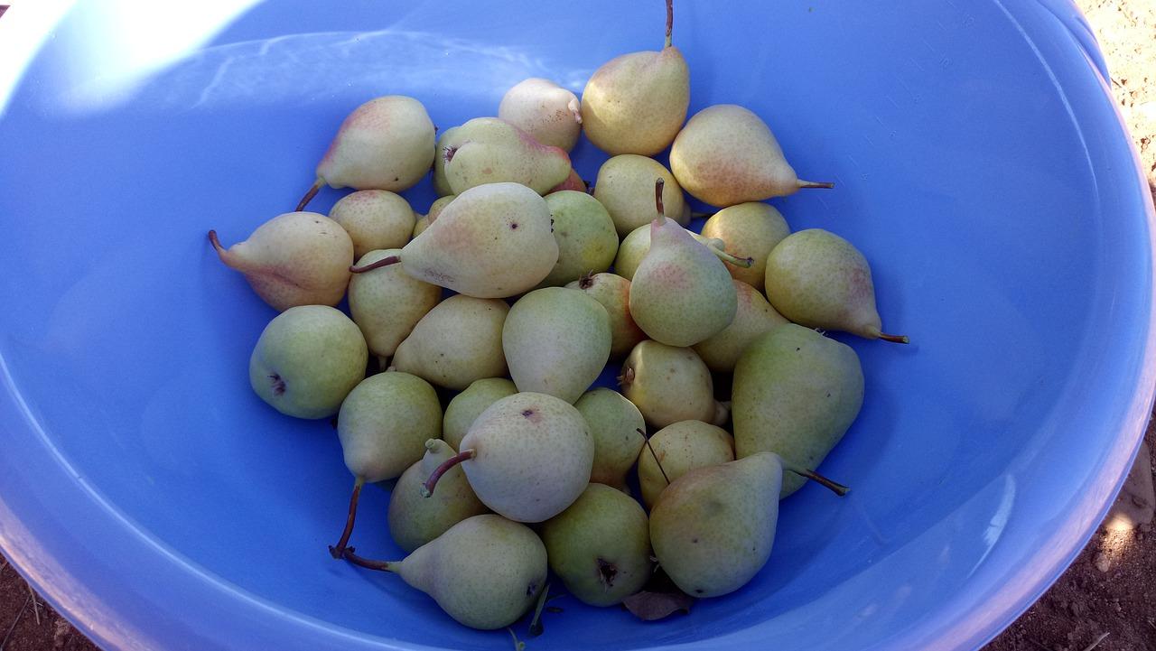 2. 水果保鲜技巧