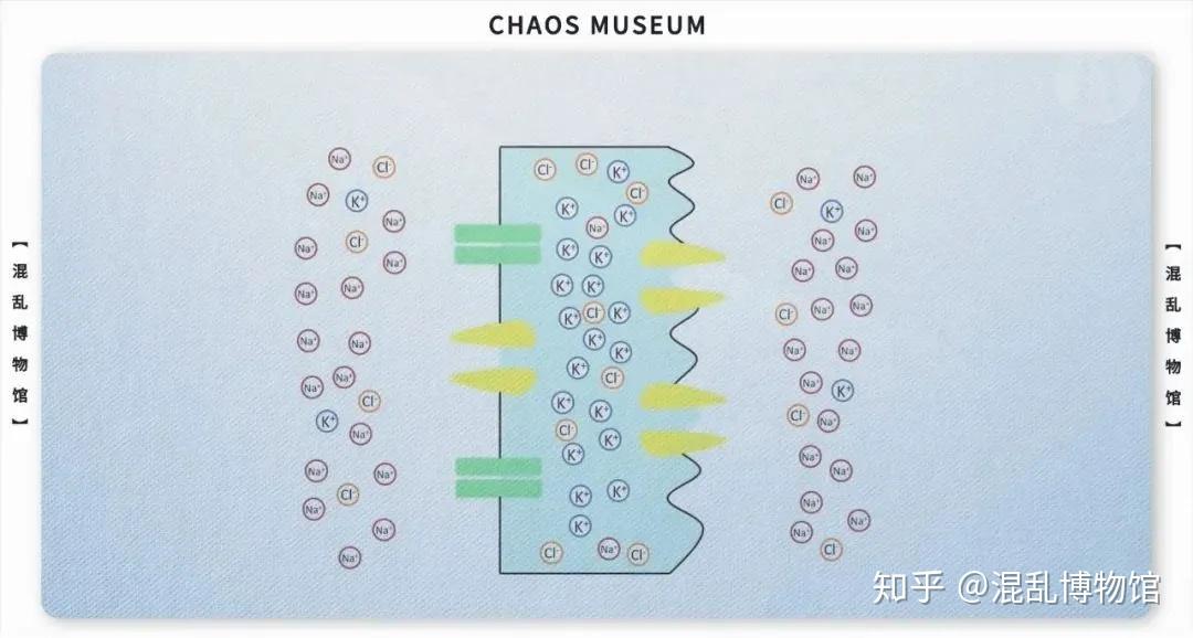 电鳗发电的原理是什么