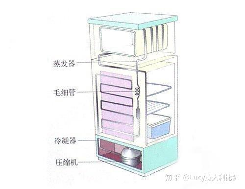 v2-137b60ef9e202d1f8b2569a39b38e92c_r.jpg