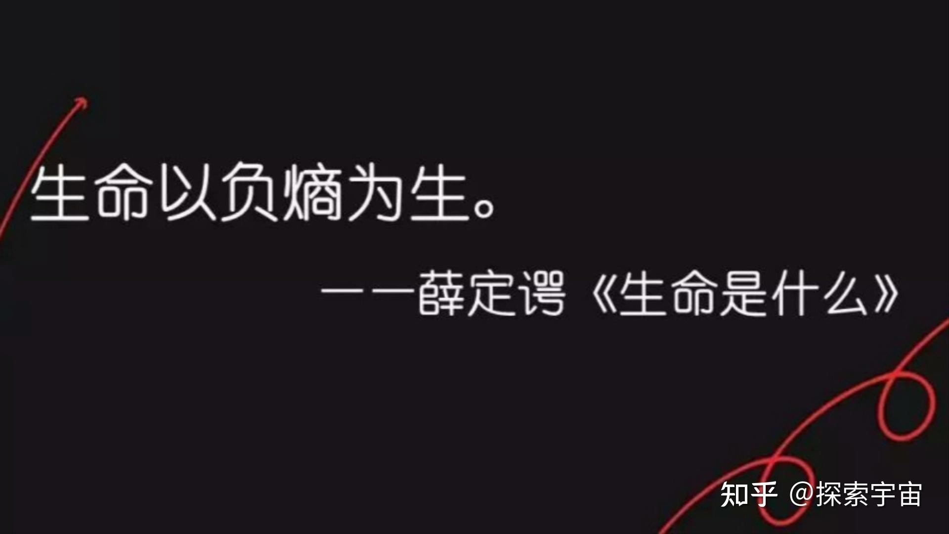 没人能逃过熵增定律但高手懂得对抗