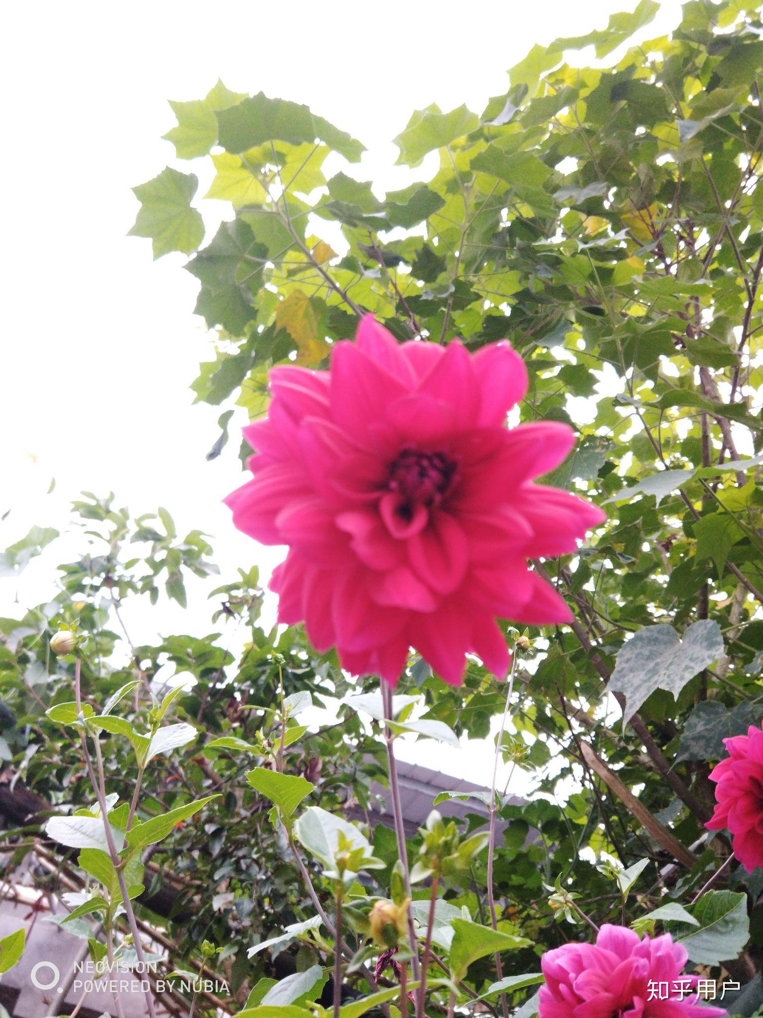 v2-138b90f921b5b7253a28990839bc72a0_r.jpg