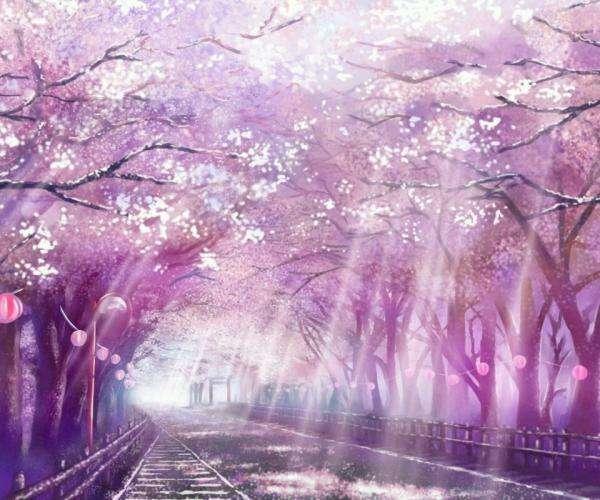 Uiec浦和国际教育中心学费 宿舍 私塾 升学 怎么样 知乎