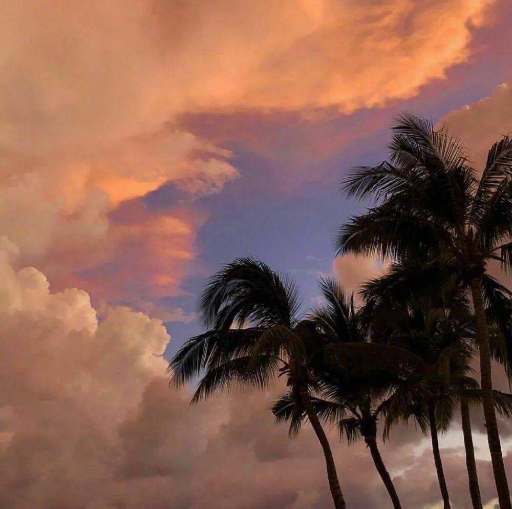 有哪些适合微信8.0的背景图的短文案?