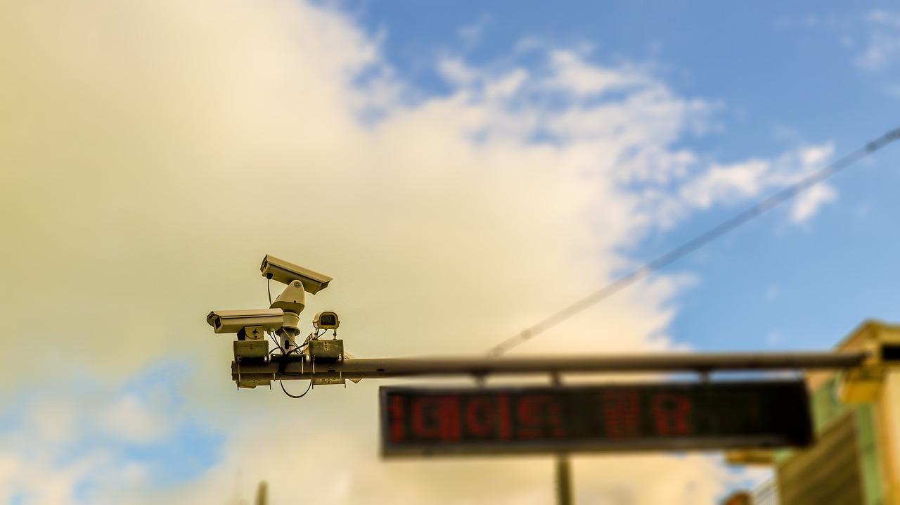 水族箱环境布置