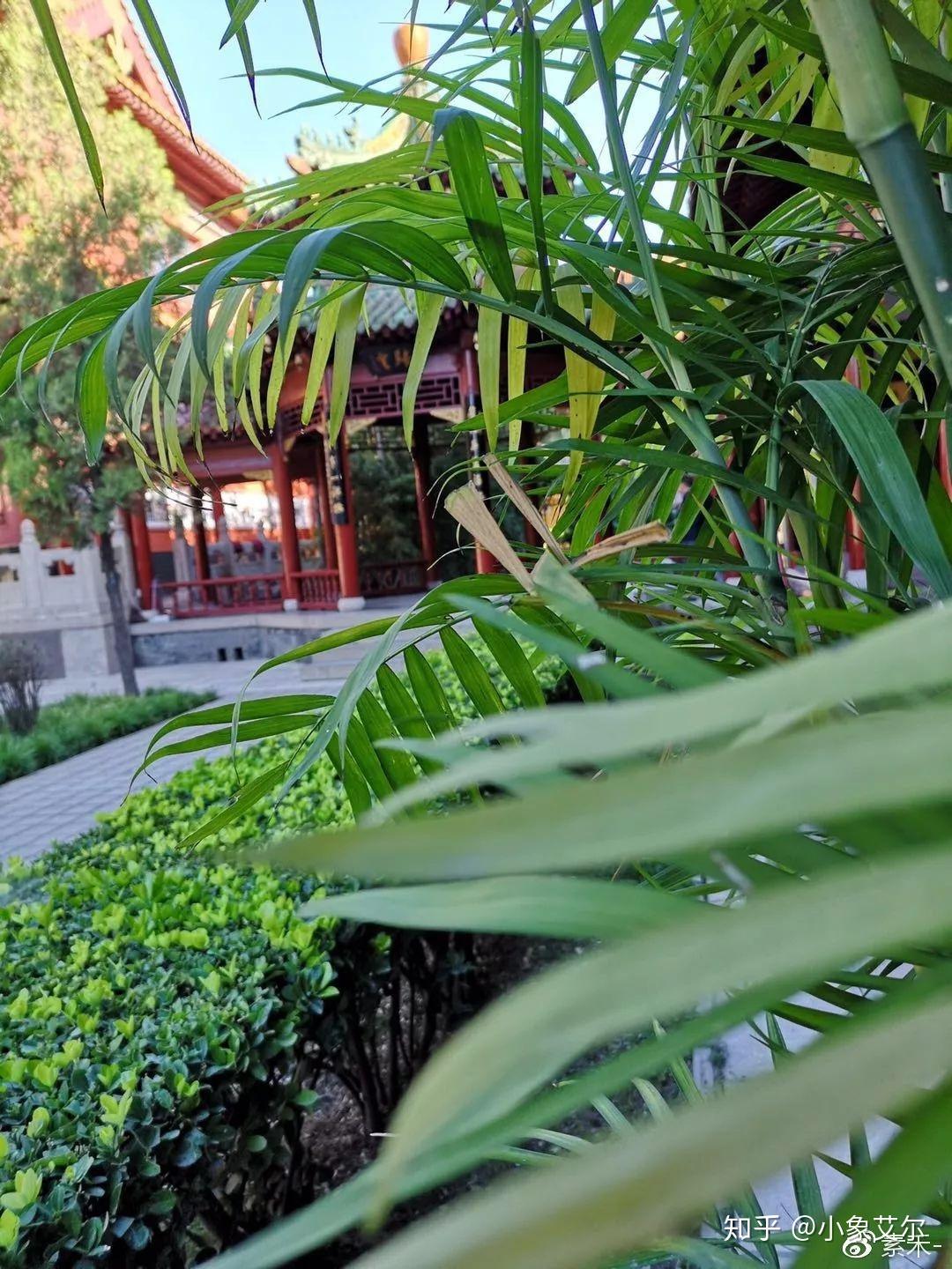 李亚利:莫负烟霞 莫负时光 - 知乎