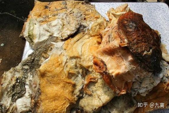 辽宁农民发现价值300万太岁卖出后买房卖车如今过得怎样