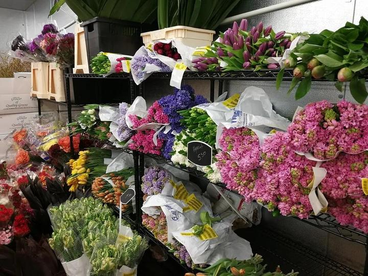 鲜花冷库长期储存技巧 四种鲜花保存方法 知乎