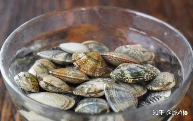 吃了十几年你分得清楚蛤蜊蛏子蚬子牡蛎吗