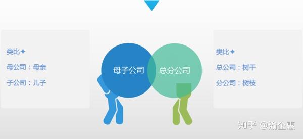 搞不清母公司子公司 总公司分公司的区别 图解这些公司的秘密 知乎