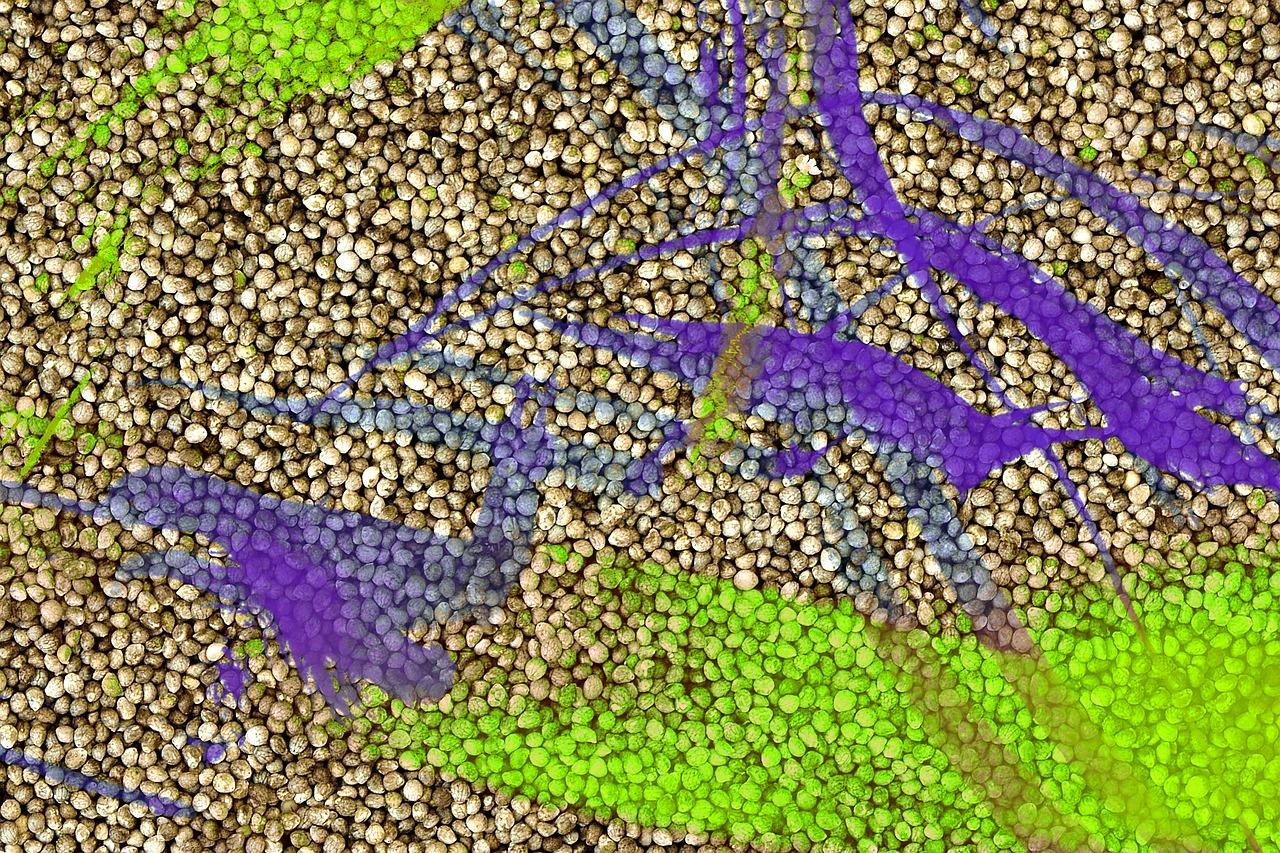 高效地面打磨法