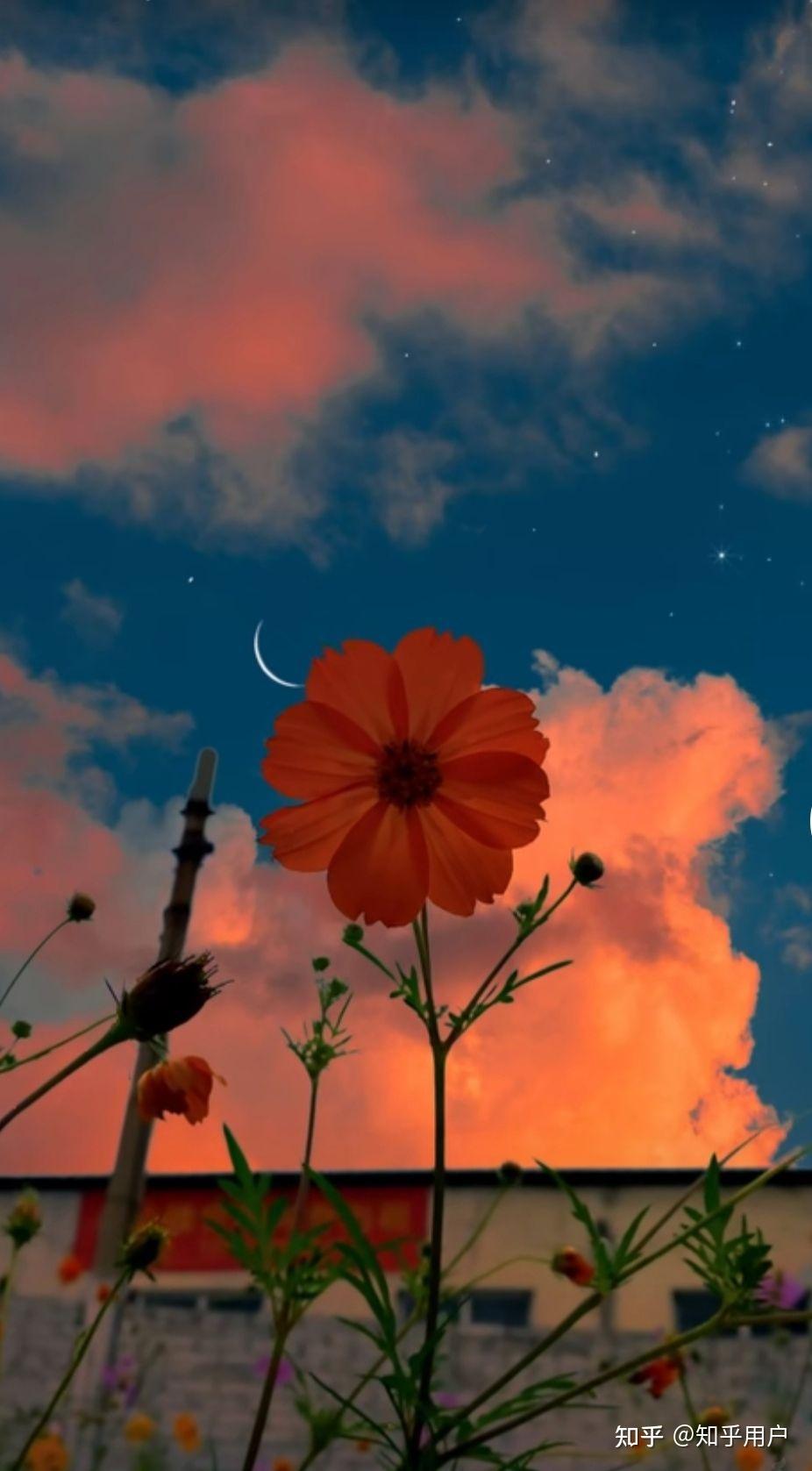 你有哪些唯美舒心励志的句子? - 知乎