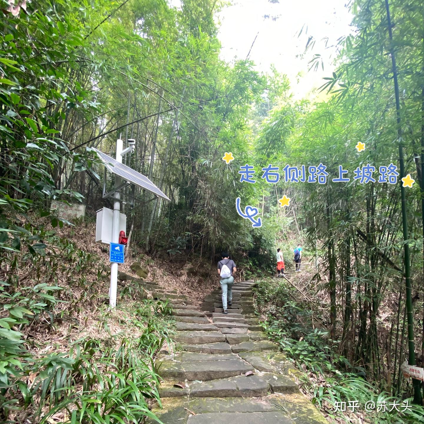 重庆徒步爬山圣地：缙云山免门票上山详细路线指引 - 知乎