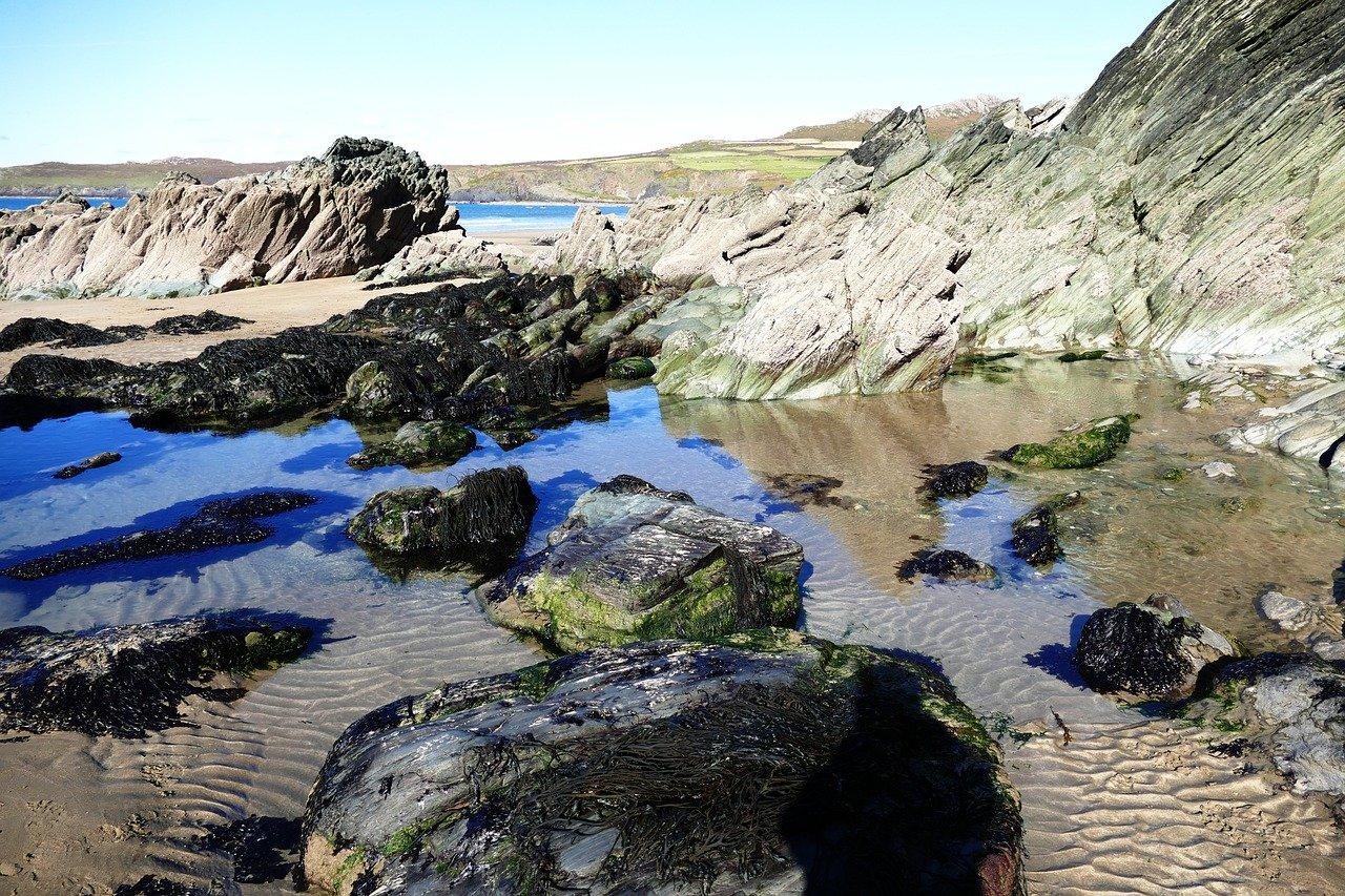 白沙区属于哪里