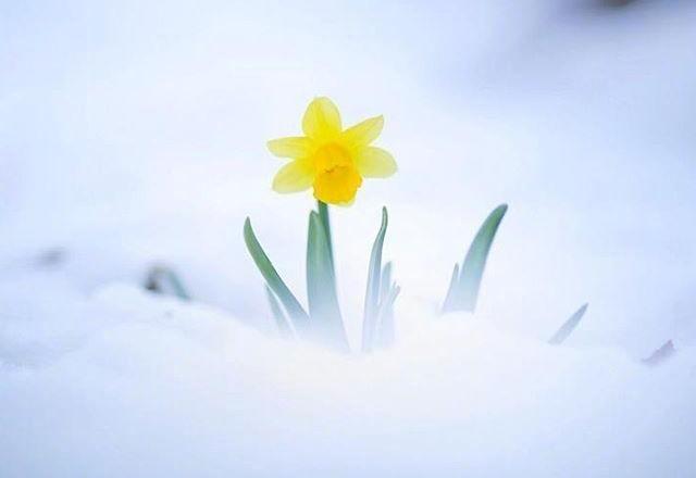 如何让自己变得阳光 v2-141b07d13b8d2ea6ebffe678dac704c5_1440w.jpg?source=172ae18b