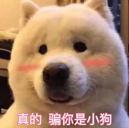 考试常考√ 雅思听力考前必须掌握的474词！全部来源真题！