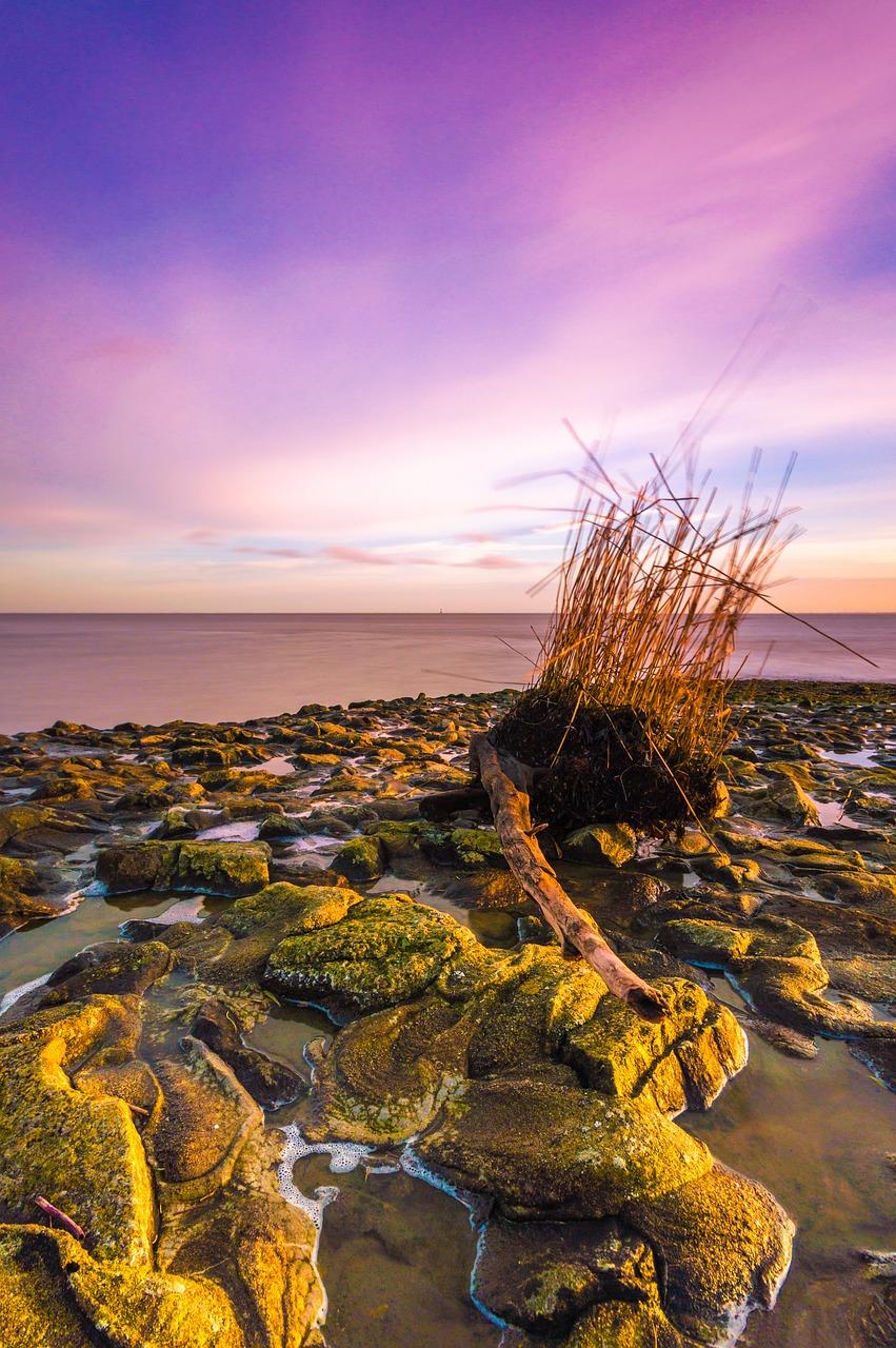 3. 北方客北海扎堆