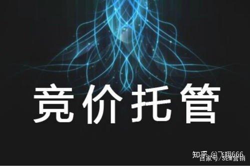 竞拍代营运的子公司(竞拍代销代营运子公司)_chan_(竞拍代营运代营运子公司)
