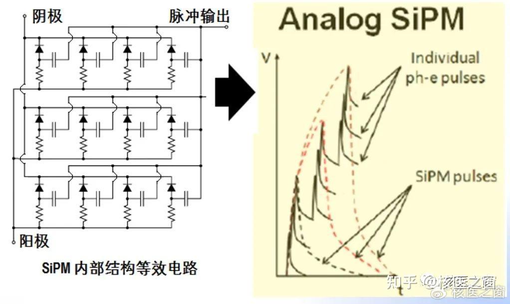 核医学影像科普之——PET晶体和光电倍增管 - 知乎