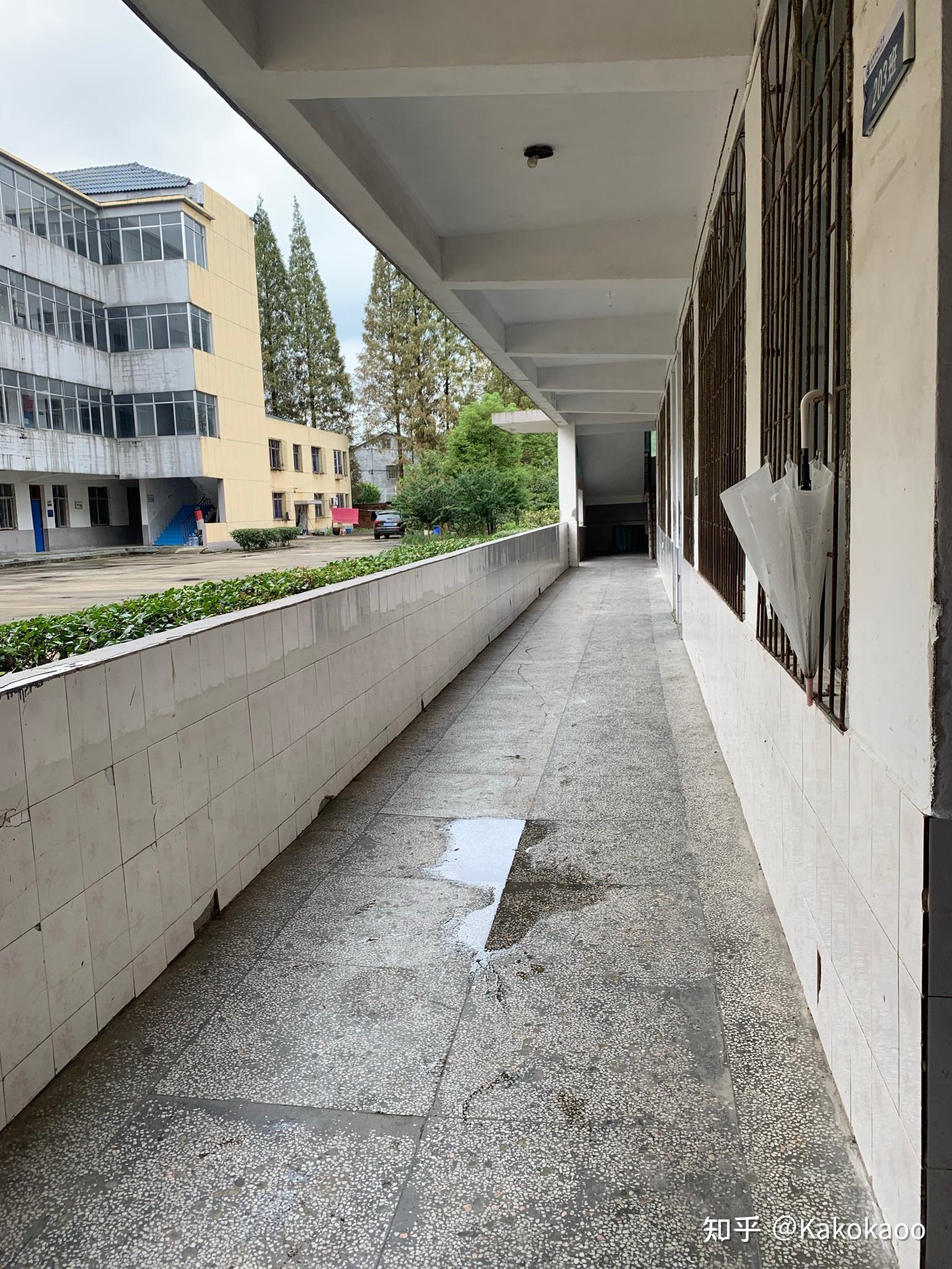 在岳阳市君山中学就读是一种怎样的体验? - 知乎