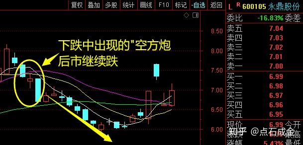 空方炮形态图片