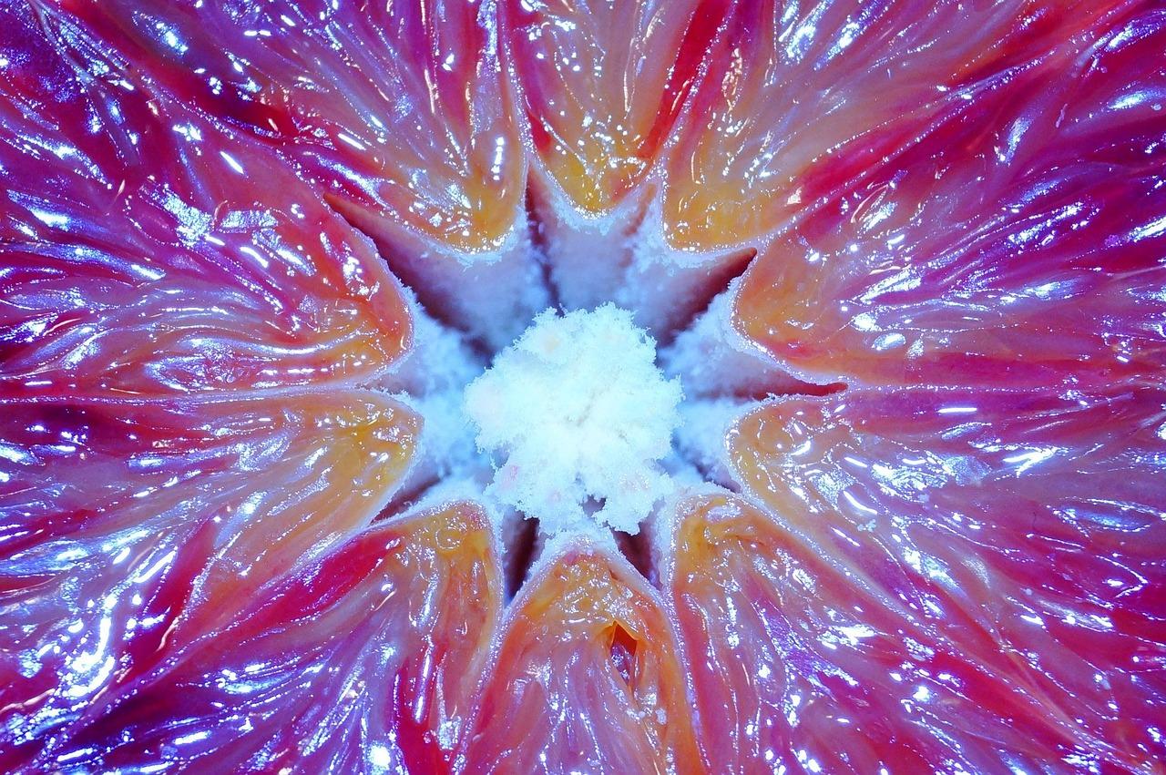 4. 圆形截面面积