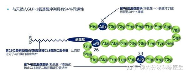 司美格鲁肽vs利拉鲁肽，哪个减重效果好？ 知乎 