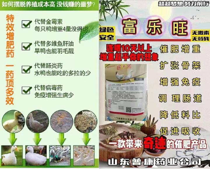小成本养殖项目名称(小成本养殖项目名称有哪些)