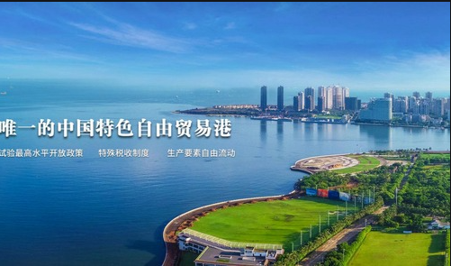 海南贸易公司的行业风云