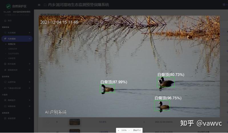 ai识鸟鸟类ai识别统计系统