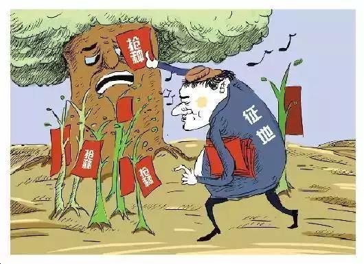 拆迁说法征收公告出来五六年未动工青苗怎么就成了抢栽抢种了