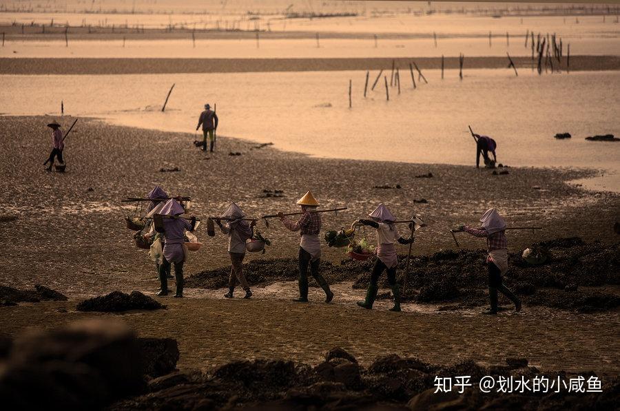 北海为何叫北海疍家人是什么人